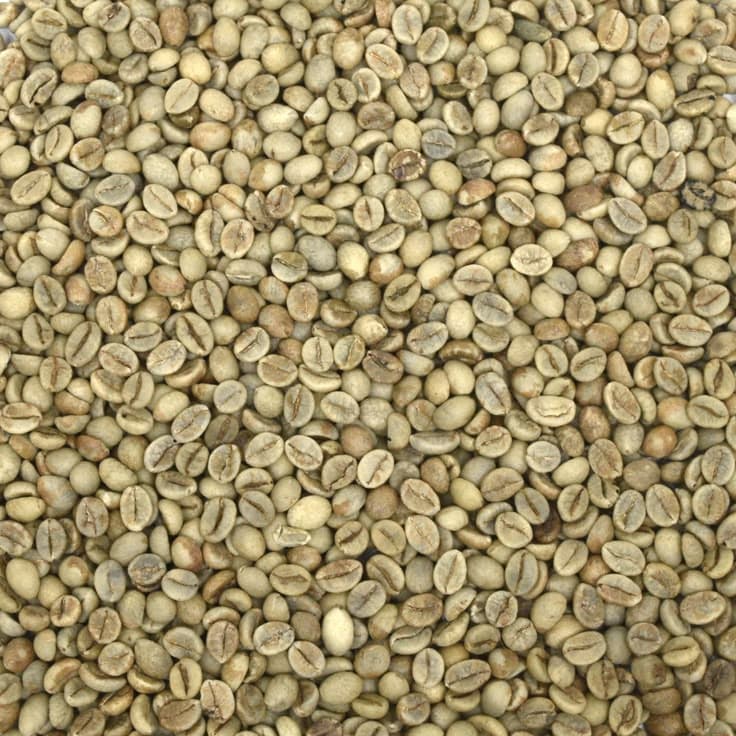 Geschälte grüne Arabica-Kaffeebohnen aus Madagaskar